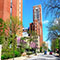 Chicago College of Medicine